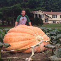 Pumpkins, Atlantic Giant (120 Days), Heirloom