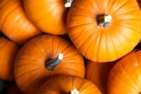 Pumpkins, Small Sugar or New England Pie (108 days), Heirloom