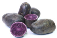 Potatoes, Adirondack Blue ( Mid Season), Certified