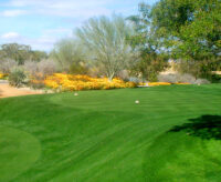 Grass Mix,  Fairway