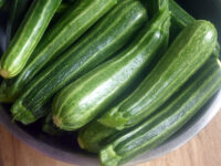 Squash, Cocozelle Zucchini (45 days), Heirloom