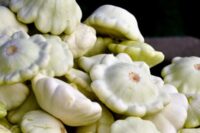 Squash, White Bush Scallop or Patty Pan (52 days), Heirloom