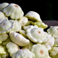 Squash, White Bush Scallop or Patty Pan (52 days), Heirloom
