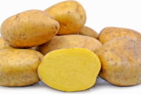 Potatoes, Yukon Gold (Mid Season), Certified