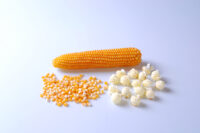 Popcorn, Mushroom