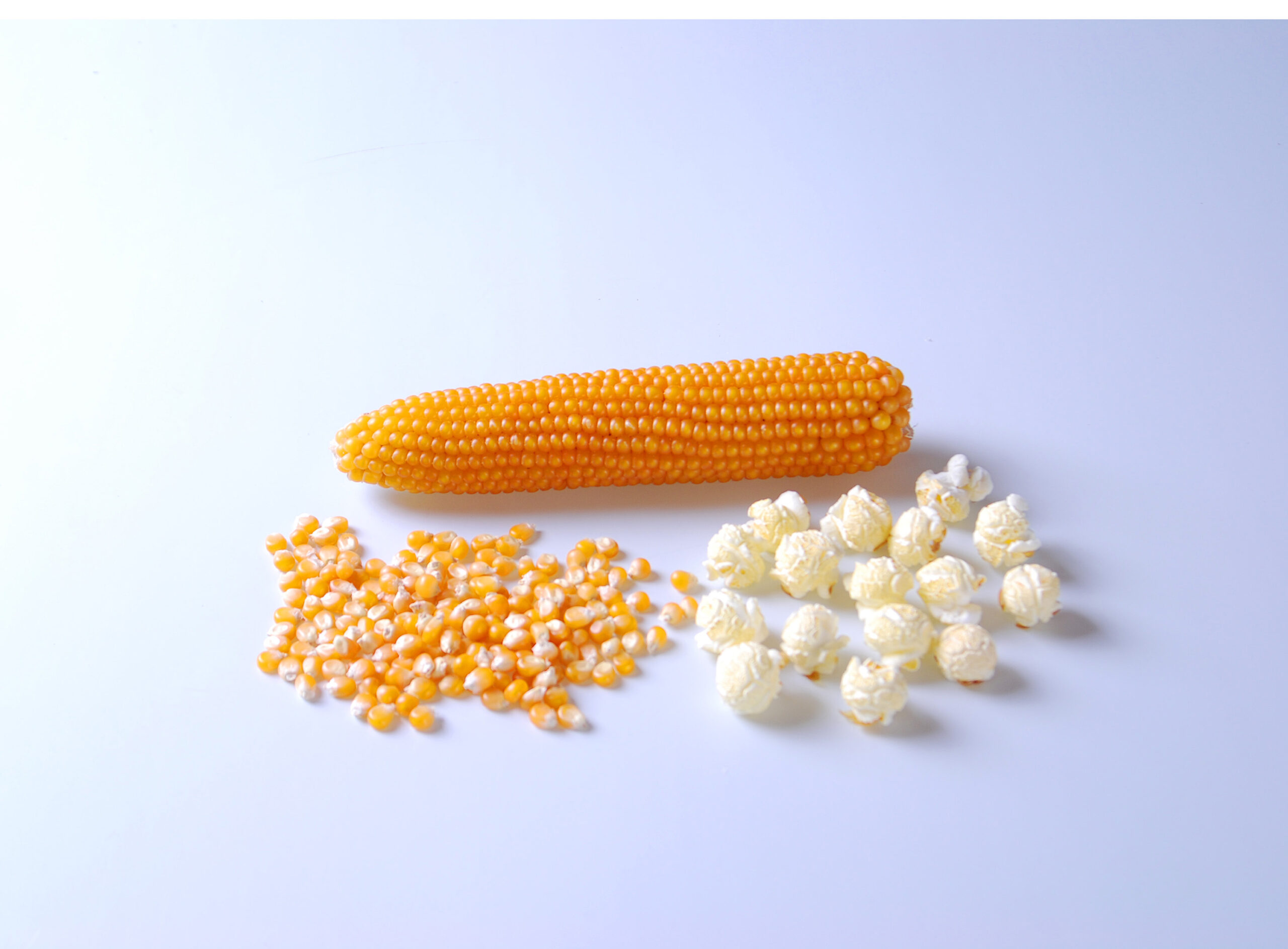 Popcorn, Mushroom
