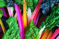 Swiss Chard, Rainbow