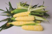 nirvana sweet corn