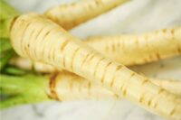 parsnip hollow crown