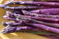 asparagus roots purple passion