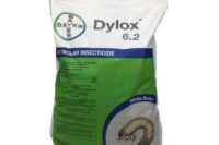 dylox grub control