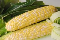 Corn, Sweet