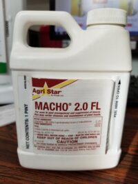 macho pest insect management