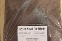 nyjer seed for birds