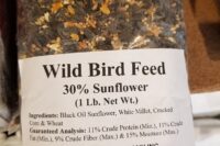 Seed