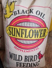 black oil sunflower seed