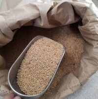 Millet, White
