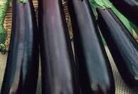 Eggplant, Long Purple, Heirloom