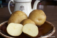Potatoes, Lehigh (Late Season), Certified