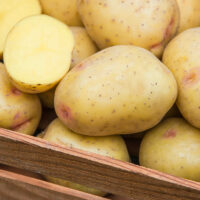 Potatoes, Yukon Gem (Mid Season), Certified