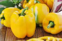 Pepper, Sunbright (Yellow Bell) (75 Days), Heirloom