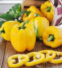 Pepper, Sunbright (Yellow Bell) (75 Days), Heirloom