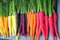 Carrots