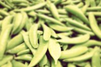 Sugar Peas - Edible Pods