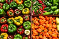 Peppers