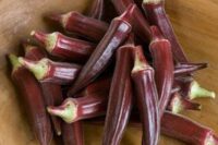 Red Burgundy Okra, Heirloom