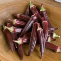 Red Burgundy Okra, Heirloom