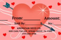 Gift Certificate