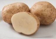 Potatoes, Elba (Late), Certified