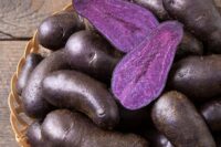 Potatoes, Magic Molly (Purple) (Mid Season), Certified