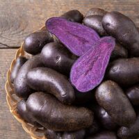 Potatoes, Magic Molly (Purple) (Mid Season), Certified