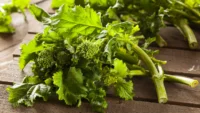 Broccoli, Raab (Rapini) (55 Days), Heirloom