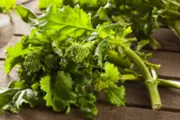 Broccoli, Raab (Rapini) (55 Days), Heirloom