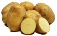 Potatoes, Shepody (Early), Certified
