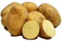 Potatoes, Shepody (Early), Certified