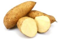 Sweet Potato Slips, (12), Old Fashioned, White, (100-120 day) SHIPPING May