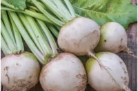 Beet, Lutz White Stem, 55 Day, Heirloom