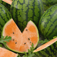 Watermelon, Tendersweet (90 Days) Heirloom