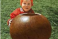 Gourd, Bushel (130 Days) Heirloom