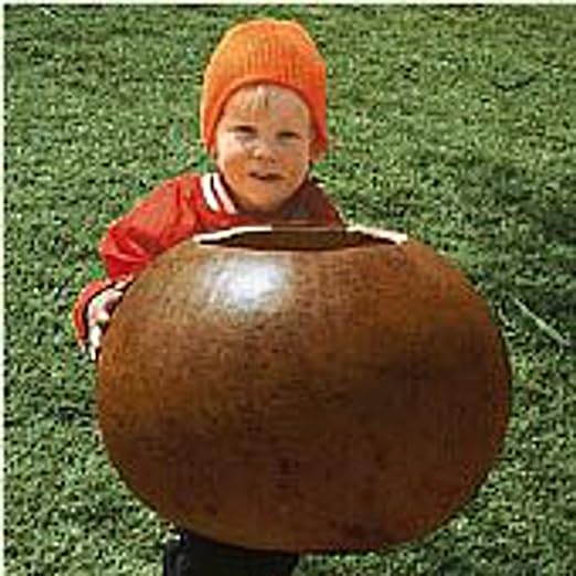 Gourd, Bushel (130 Days) Heirloom