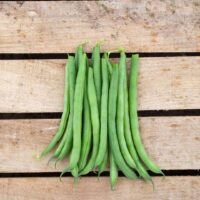 Bean, Blue Lake Superior (54 Days) Heirloom