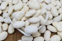 Bean, White Kidney, Beluga (105 Days) Heirloom