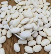 Bean, White Kidney, Beluga (105 Days) Heirloom