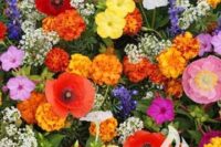 Deer Resistant Flower Seed Mix