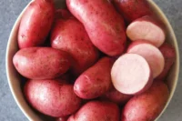 Potatoes, Red Thumb (Mid Season) Certified