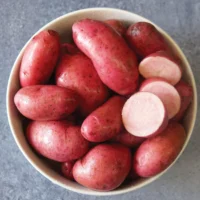 Potatoes, Red Thumb (Mid Season) Certified